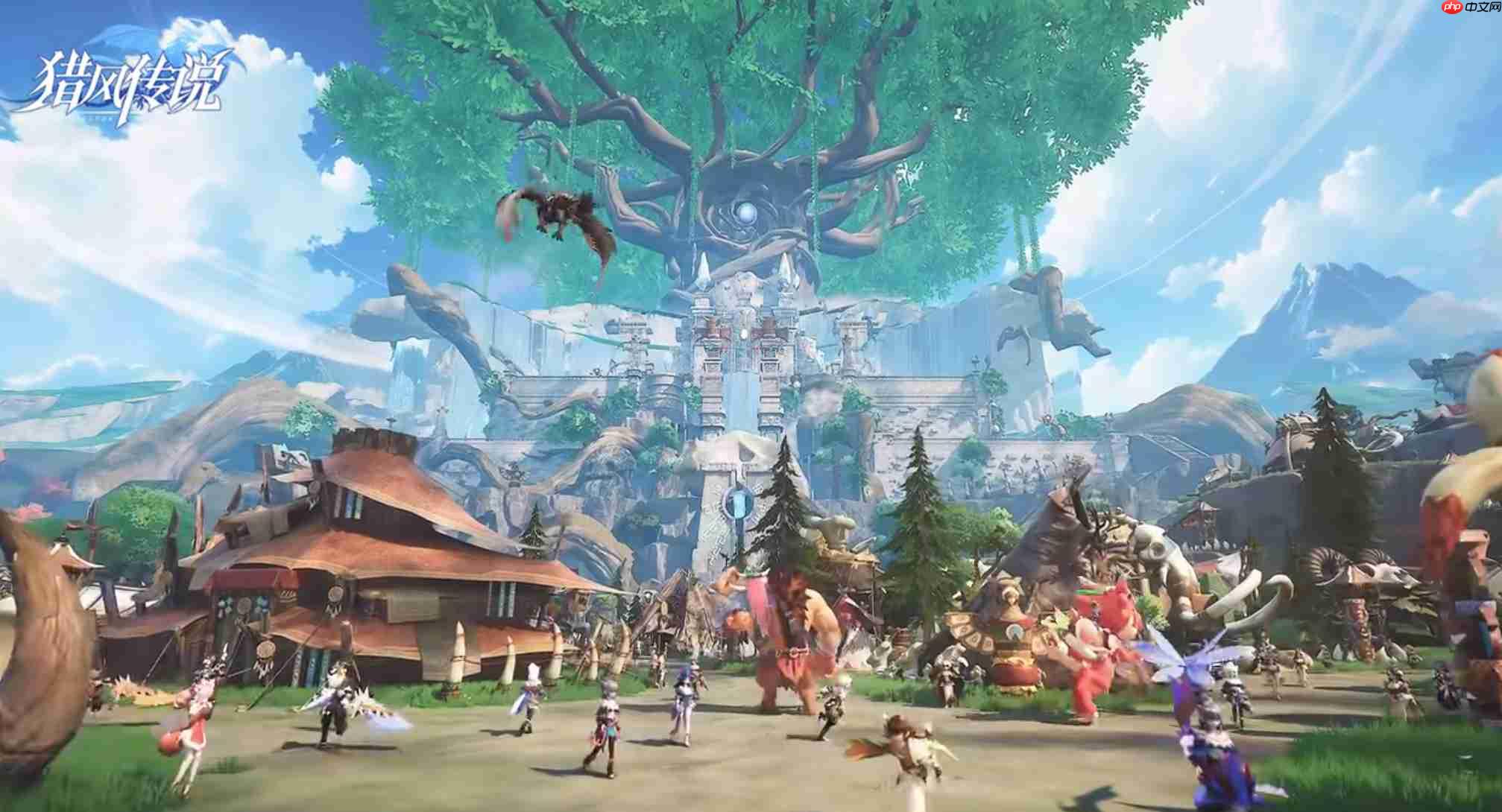 �Է紫˵������������