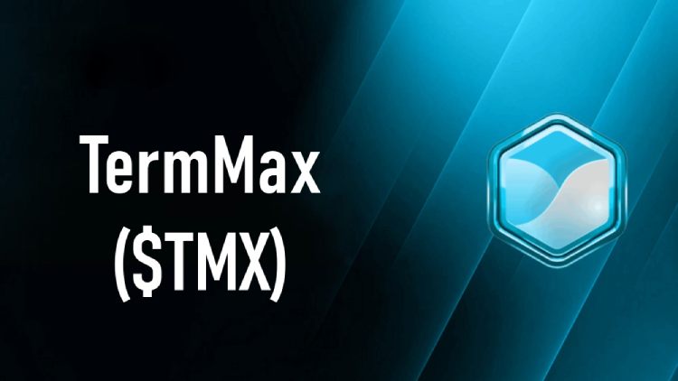 TermMax(TMX)����ʲô?ֵ��Ͷ����?TermMax��Ŀ����,���Ҿ�����ǰ������