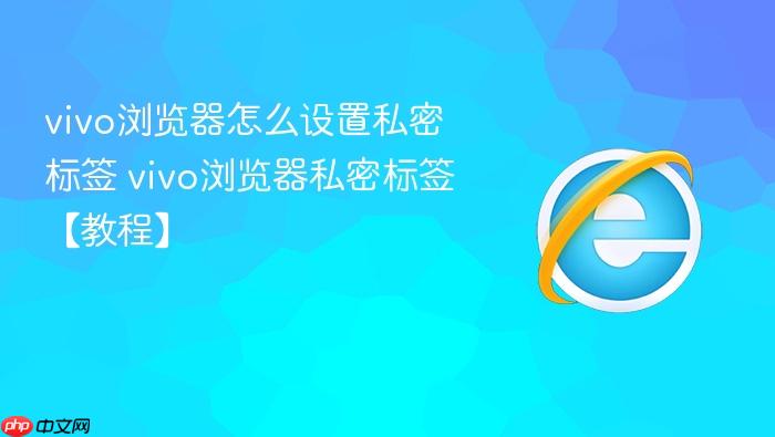 vivo�������ô����˽�ܱ�ǩ