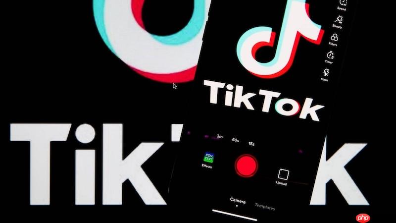 tiktok���ʰ��������
