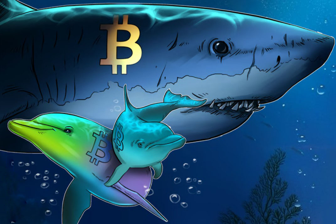 һ���˽���رҿ�ͷ��13��������ٶ��ۻ�,BTC�µ�30%