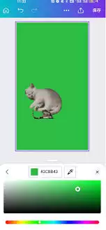 Canva�ɻ���θ���������ɫ