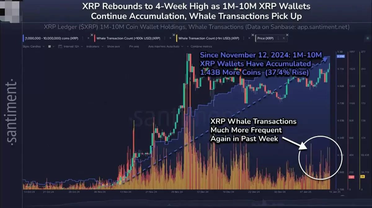 �𲨱�(XRP)���ǳ�40%,ͻ��3��Ԫ!�ȶȳ����رң�BTC��