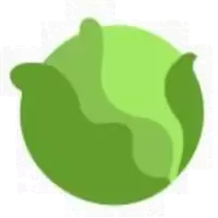 CAB��(Cabbage)�ܲ������