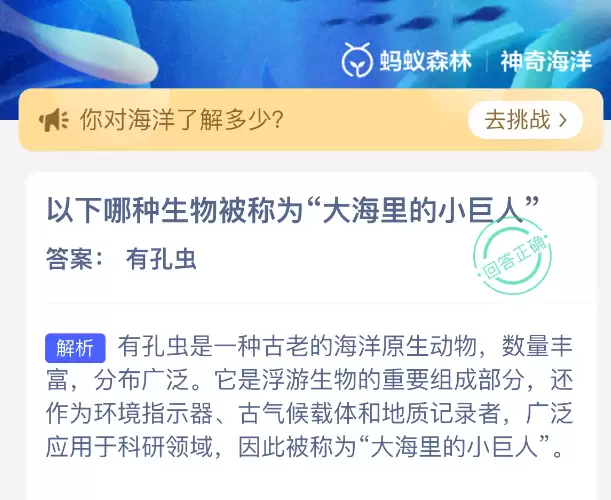 以下哪种生物被称为大海里的小巨人 以下哪种生物被称为大海里的小巨人
