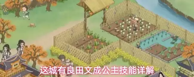 ����������ĳɹ����������