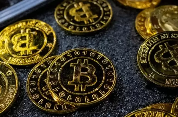 ���ر�����������ʲô?����������������Щ?һ��ͨ�׽���