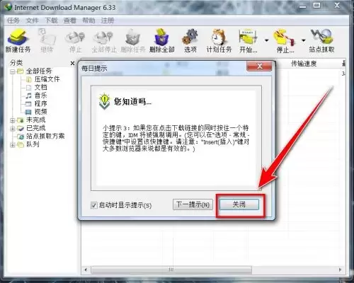 IDM��������ο���ÿ����ʾ����