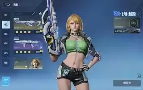 ��սδ���ղ�ϵͳ��������ʲô-��սδ���ղ�ϵͳ��ɶ��;