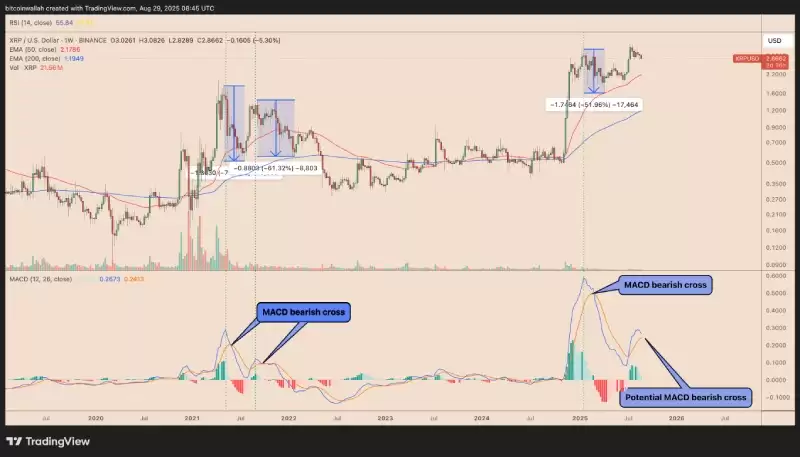 �𲨱�(XRP)δ���������?���ھ��±�����?һ������