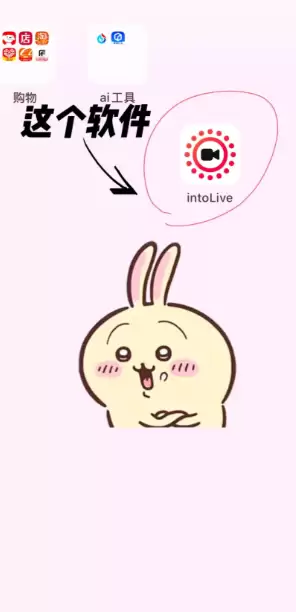 intoLive�����������