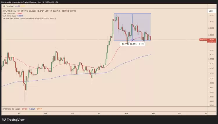 �𲨱�(XRP)δ���������?���ھ��±�����?һ������