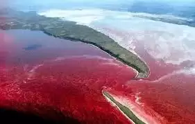 �����еĳೱ���Ǻ�ɫ����-����ೱ����ɫ���Ǻ�ɫ�������