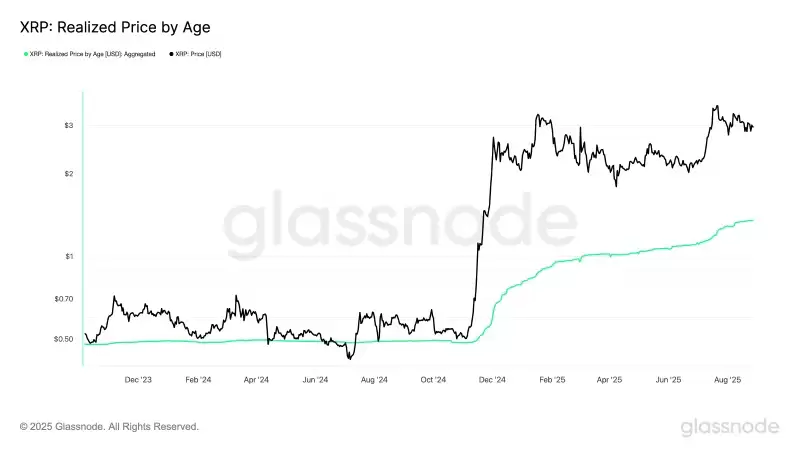 �𲨱�(XRP)δ���������?���ھ��±�����?һ������