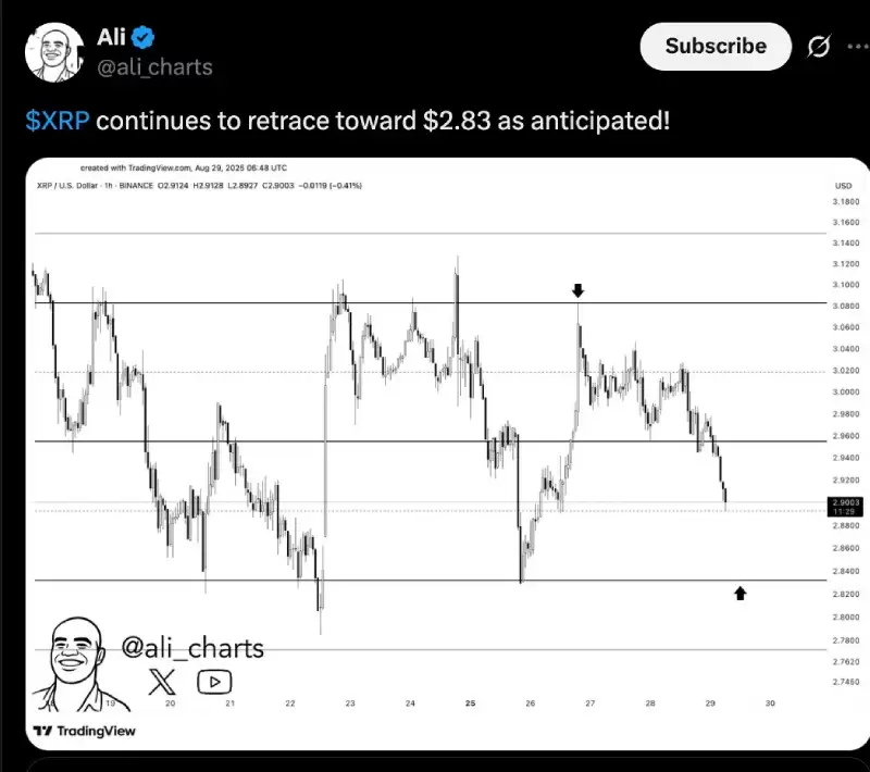 �𲨱�(XRP)δ���������?���ھ��±�����?һ������