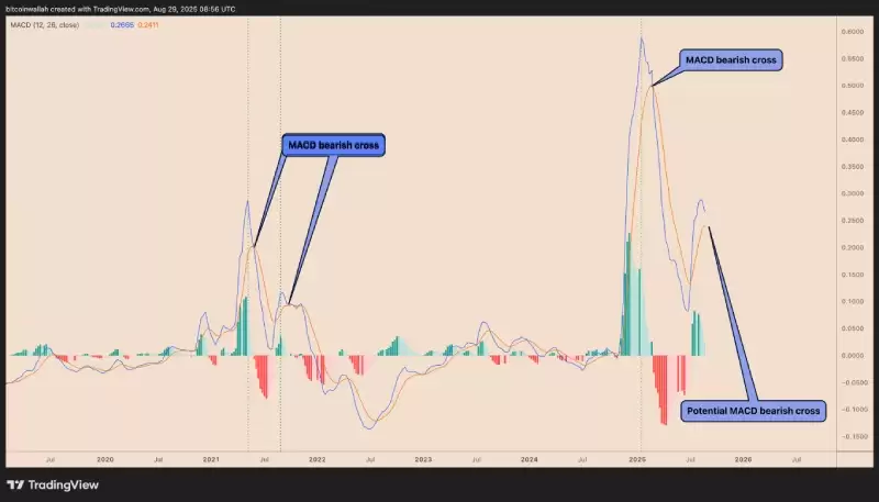 �𲨱�(XRP)δ���������?���ھ��±�����?һ������