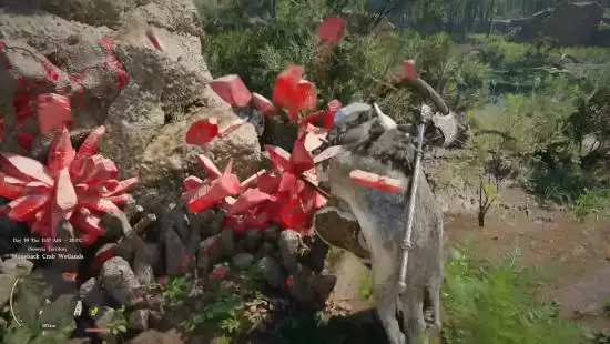 《红色沙漠》典藏版开箱首发!还有“中国制造”? 《红色沙漠》典藏版开箱首发!还有“中国制造”?