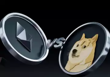 �����Һ���̫����ʲô���� �����Һ���̫���ĸ���