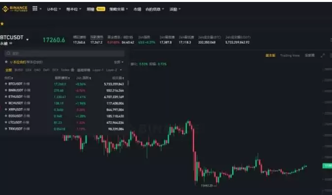 ������Լ������ô���������� ������Լʲô��˼