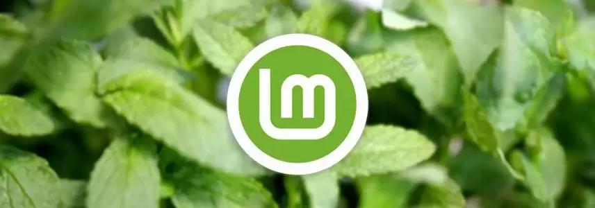 Linux Mint Xia 22.1�ذ�����: ��Ҫ����һ��