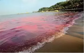 �����еĳೱ���Ǻ�ɫ����-����ೱ����ɫ���Ǻ�ɫ�������