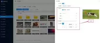 ˮӡ���������ˮӡ