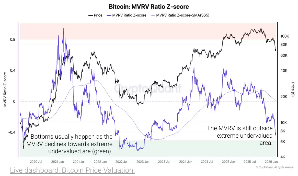 CryptoQuant:���ر���δ������ȫ��Ͷ���׶�,�ṹ�Եײ���ʱ���γ�