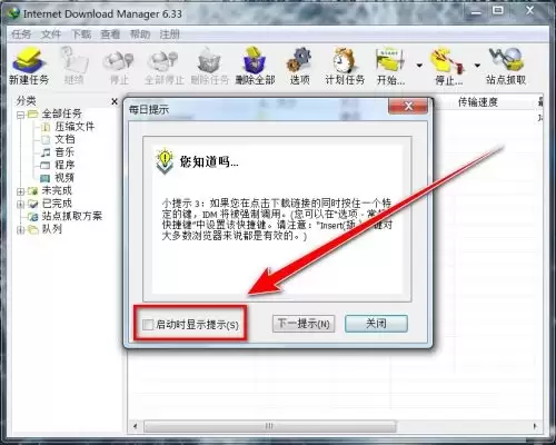 IDM��������ο���ÿ����ʾ����