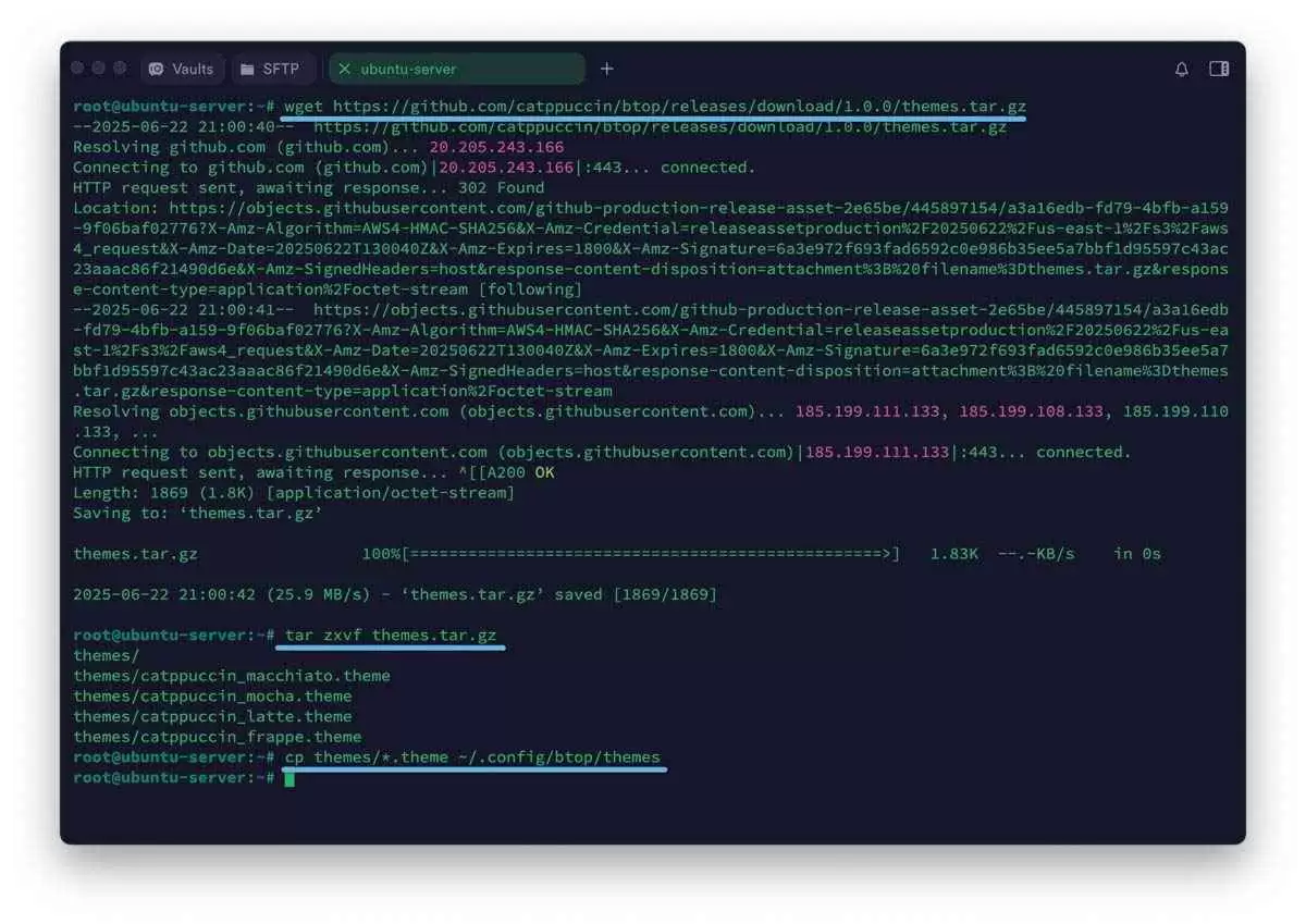 linux系统监控工具小神器!超全面的Btop安装和使用指南 linux系统监控工具小神器!超全面的Btop安装和使用指南