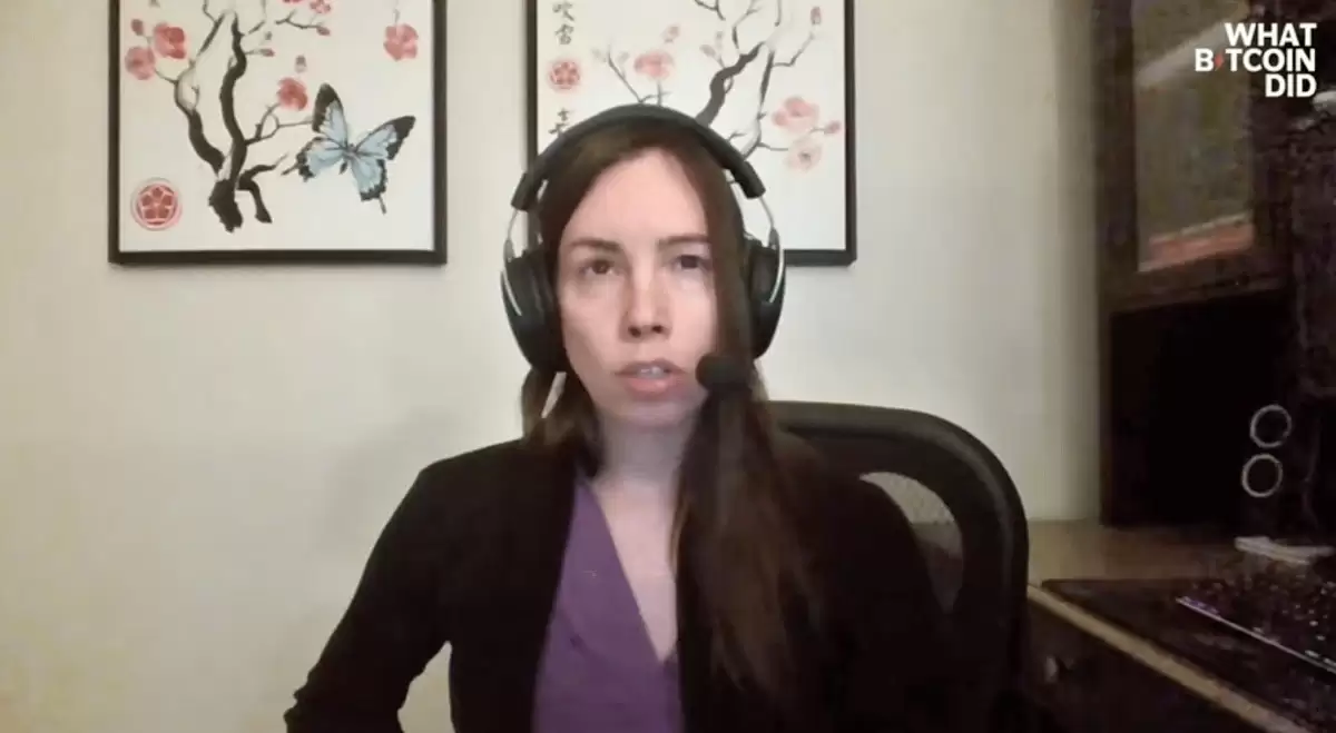 Lyn Alden:�����г���δ�ﵽ