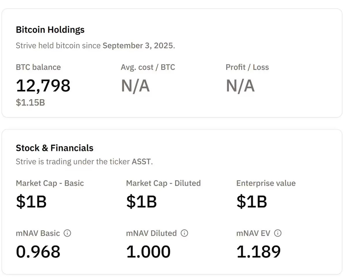 һ���˽�Strive�ƻ�����1.5����Ԫ,���ڳ���ծ�����ֱ��رң�BTC��