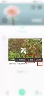 形色识花中拍的照片怎么删除 形色识花中拍的照片怎么删除