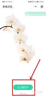 形色识花中拍的照片怎么删除 形色识花中拍的照片怎么删除