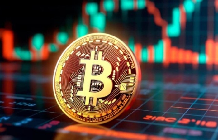 ���ر�����������ʲô?����������������Щ?һ��ͨ�׽���