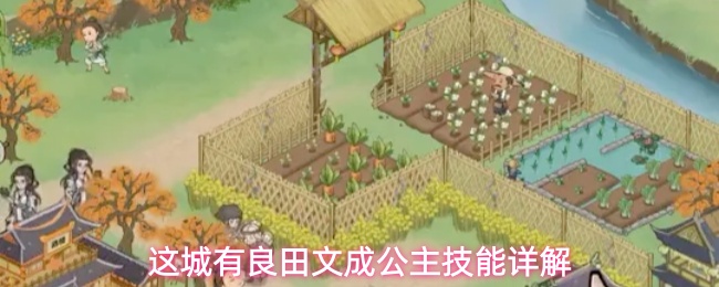 ����������ĳɹ����������