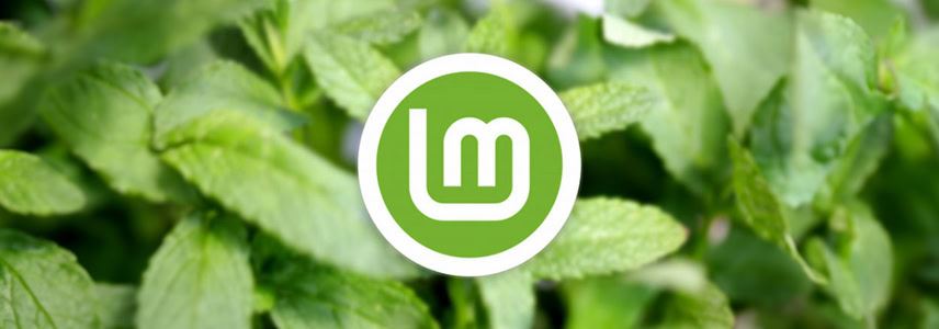 Linux Mint Xia 22.1�ذ�����: ��Ҫ����һ��
