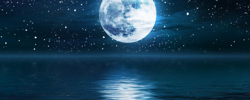 ����ʿ������������ʲô��