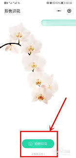 ��ɫʶ�����ĵ���Ƭ��ôɾ��