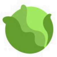 CAB��(Cabbage)�ܲ������