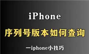 ƻ���ֻ����кſ�ͷ��ĸ����ʲô ƻ���ֻ����к�h��ͷ����ʲô��˼