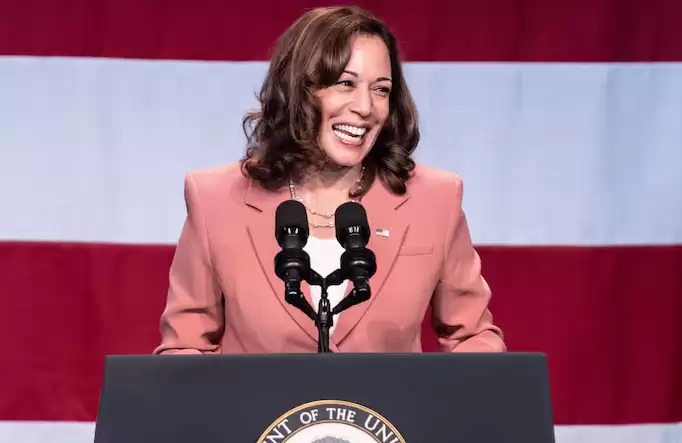 Ԫ��������������Щ