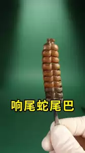 ��β�߸ճ���ʱβ���ܷ���������-��β������β���Ƿ�߱���������