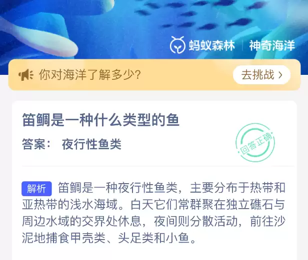 笛鲷是一种什么类型的鱼 笛鲷是一种什么类型的鱼