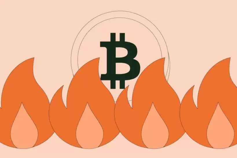 zkrollup����Щ����