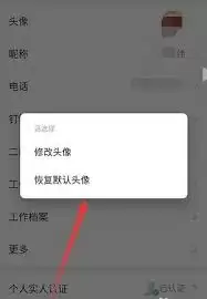 ������ô�ָ�Ĭ��ͷ��