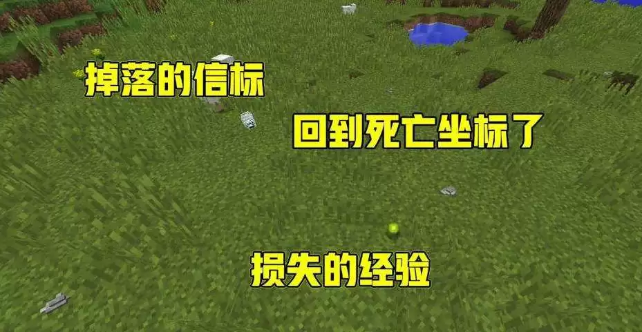 �ҵ����紫�͵�����λ�õ�ָ����ʲô