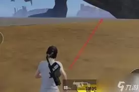 ��ƽ��Ӣ�Ե������ƶ�������͵��