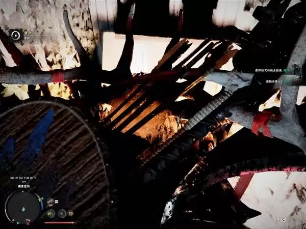 ��ɫɳĮ˪��������װ�ռ����� ˪��������װ����