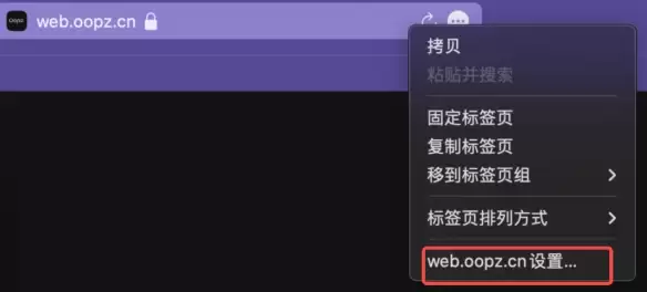 oopz��ҳ��˷�Ȩ�޿�������