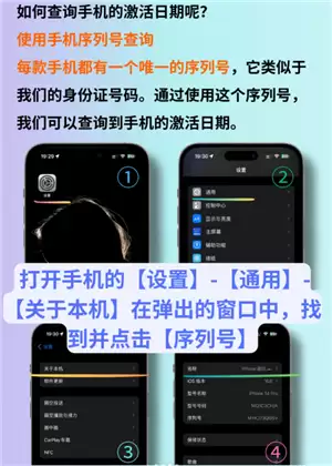 ƻ���ֻ����кŲ�ѯ��� ƻ���ֻ����кŲ�ѯ��������